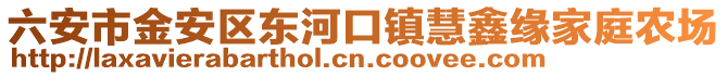 六安市金安區東河口鎮慧鑫緣家庭農場