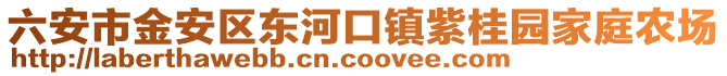 六安市金安區東河口鎮紫桂園家庭農場