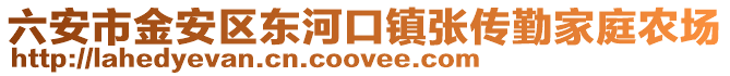 六安市金安區(qū)東河口鎮(zhèn)張傳勤家庭農(nóng)場(chǎng)