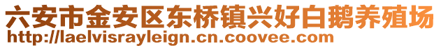 六安市金安區東橋鎮興好白鵝養殖場