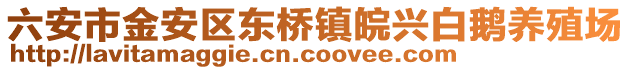 六安市金安區(qū)東橋鎮(zhèn)皖興白鵝養(yǎng)殖場