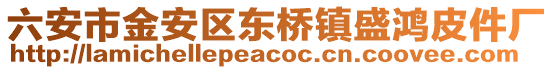 六安市金安區(qū)東橋鎮(zhèn)盛鴻皮件廠