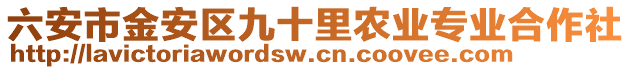 六安市金安區九十里農業專業合作社