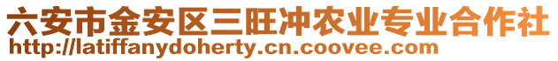六安市金安區三旺沖農業專業合作社