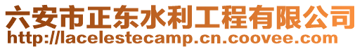 六安市正東水利工程有限公司