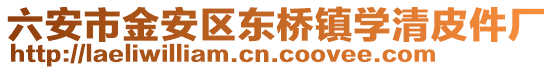 六安市金安區(qū)東橋鎮(zhèn)學清皮件廠