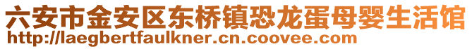 六安市金安區(qū)東橋鎮(zhèn)恐龍蛋母嬰生活館