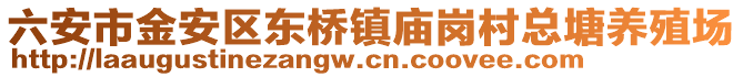 六安市金安區東橋鎮廟崗村總塘養殖場