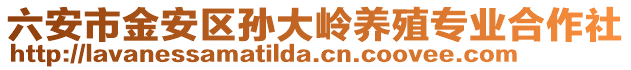 六安市金安區孫大嶺養殖專業合作社