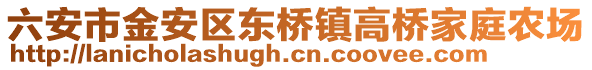 六安市金安區東橋鎮高橋家庭農場