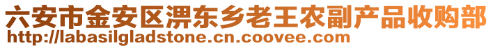 六安市金安區(qū)淠東鄉(xiāng)老王農(nóng)副產(chǎn)品收購(gòu)部