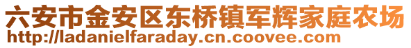 六安市金安區(qū)東橋鎮(zhèn)軍輝家庭農(nóng)場(chǎng)