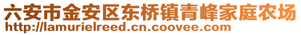 六安市金安區(qū)東橋鎮(zhèn)青峰家庭農場