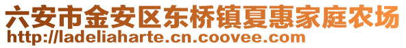 六安市金安區東橋鎮夏惠家庭農場