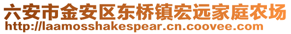 六安市金安區東橋鎮宏遠家庭農場