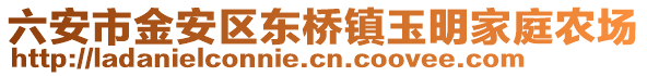 六安市金安區東橋鎮玉明家庭農場
