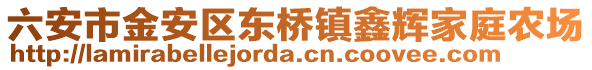 六安市金安區東橋鎮鑫輝家庭農場