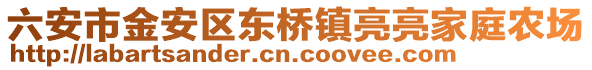 六安市金安區(qū)東橋鎮(zhèn)亮亮家庭農(nóng)場(chǎng)