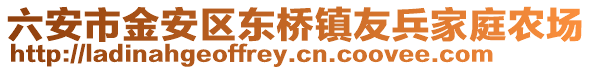 六安市金安區(qū)東橋鎮(zhèn)友兵家庭農(nóng)場(chǎng)