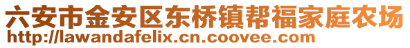 六安市金安區東橋鎮幫福家庭農場