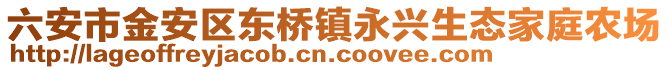 六安市金安區東橋鎮永興生態家庭農場