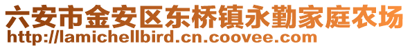 六安市金安區東橋鎮永勤家庭農場