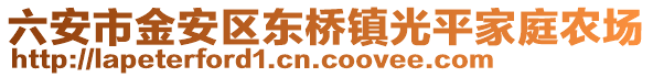 六安市金安區東橋鎮光平家庭農場