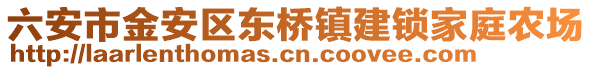 六安市金安區東橋鎮建鎖家庭農場