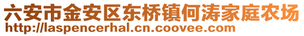 六安市金安區東橋鎮何濤家庭農場
