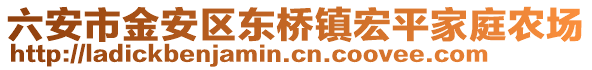 六安市金安區東橋鎮宏平家庭農場