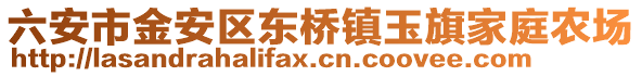 六安市金安區東橋鎮玉旗家庭農場
