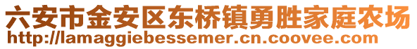 六安市金安區東橋鎮勇勝家庭農場