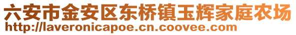 六安市金安區(qū)東橋鎮(zhèn)玉輝家庭農(nóng)場