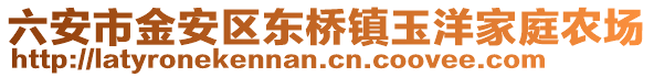 六安市金安區(qū)東橋鎮(zhèn)玉洋家庭農(nóng)場(chǎng)