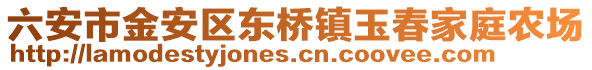 六安市金安區(qū)東橋鎮(zhèn)玉春家庭農場