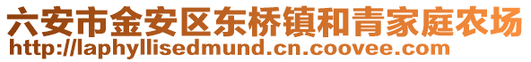 六安市金安區東橋鎮和青家庭農場