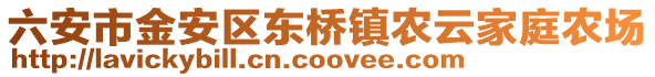六安市金安區(qū)東橋鎮(zhèn)農(nóng)云家庭農(nóng)場