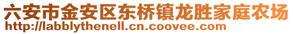 六安市金安區東橋鎮龍勝家庭農場