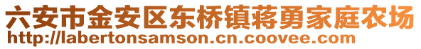 六安市金安區東橋鎮蔣勇家庭農場