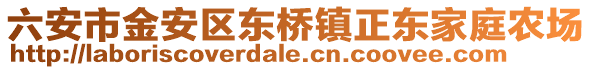 六安市金安區(qū)東橋鎮(zhèn)正東家庭農(nóng)場
