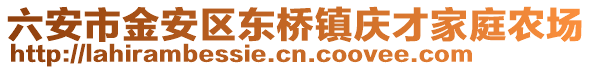 六安市金安區東橋鎮慶才家庭農場