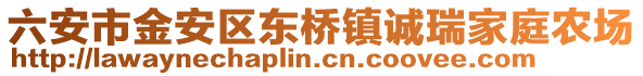 六安市金安區東橋鎮誠瑞家庭農場