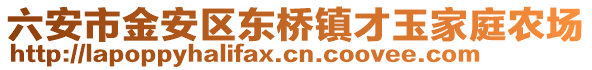 六安市金安區東橋鎮才玉家庭農場
