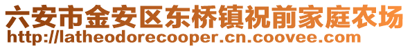 六安市金安區東橋鎮祝前家庭農場