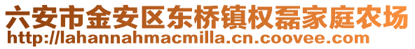 六安市金安區東橋鎮權磊家庭農場