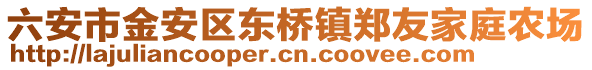 六安市金安區東橋鎮鄭友家庭農場