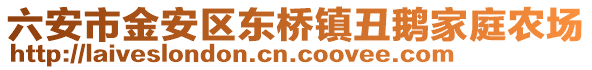 六安市金安區(qū)東橋鎮(zhèn)丑鵝家庭農(nóng)場(chǎng)