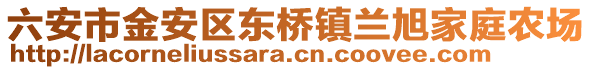 六安市金安區(qū)東橋鎮(zhèn)蘭旭家庭農(nóng)場