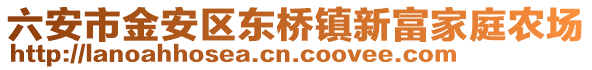 六安市金安區東橋鎮新富家庭農場