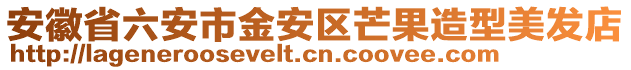 安徽省六安市金安區芒果造型美發店